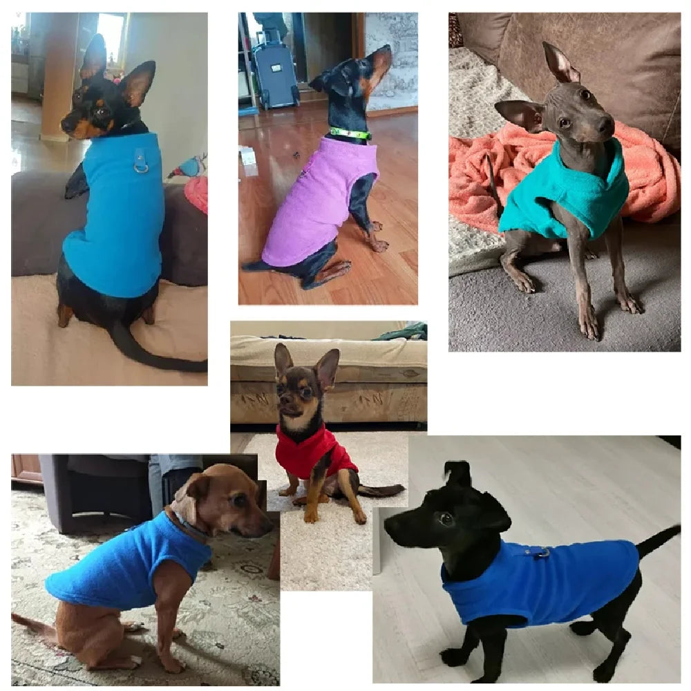 Winter Soft Wool Pet Dog Jacket - Puppy Cat Vest for Lion Chihuahua French Bulldog Spring Summer Warm Coat for Dogs And Cats