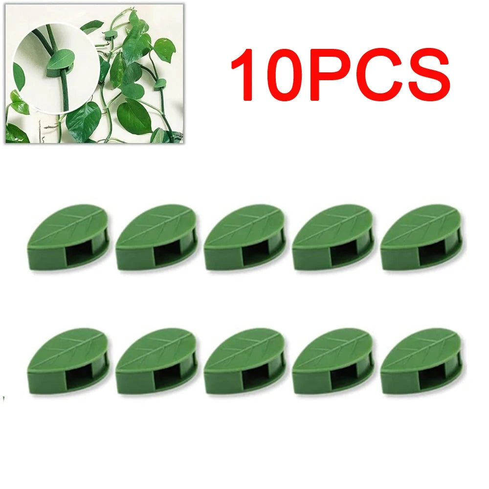 Invisible Plant Climbing Wall Fixture Clips 10-50Pcs PcsRattan Vine Bracket Fixed Buckle Leaf Clips Traction Holder Garden