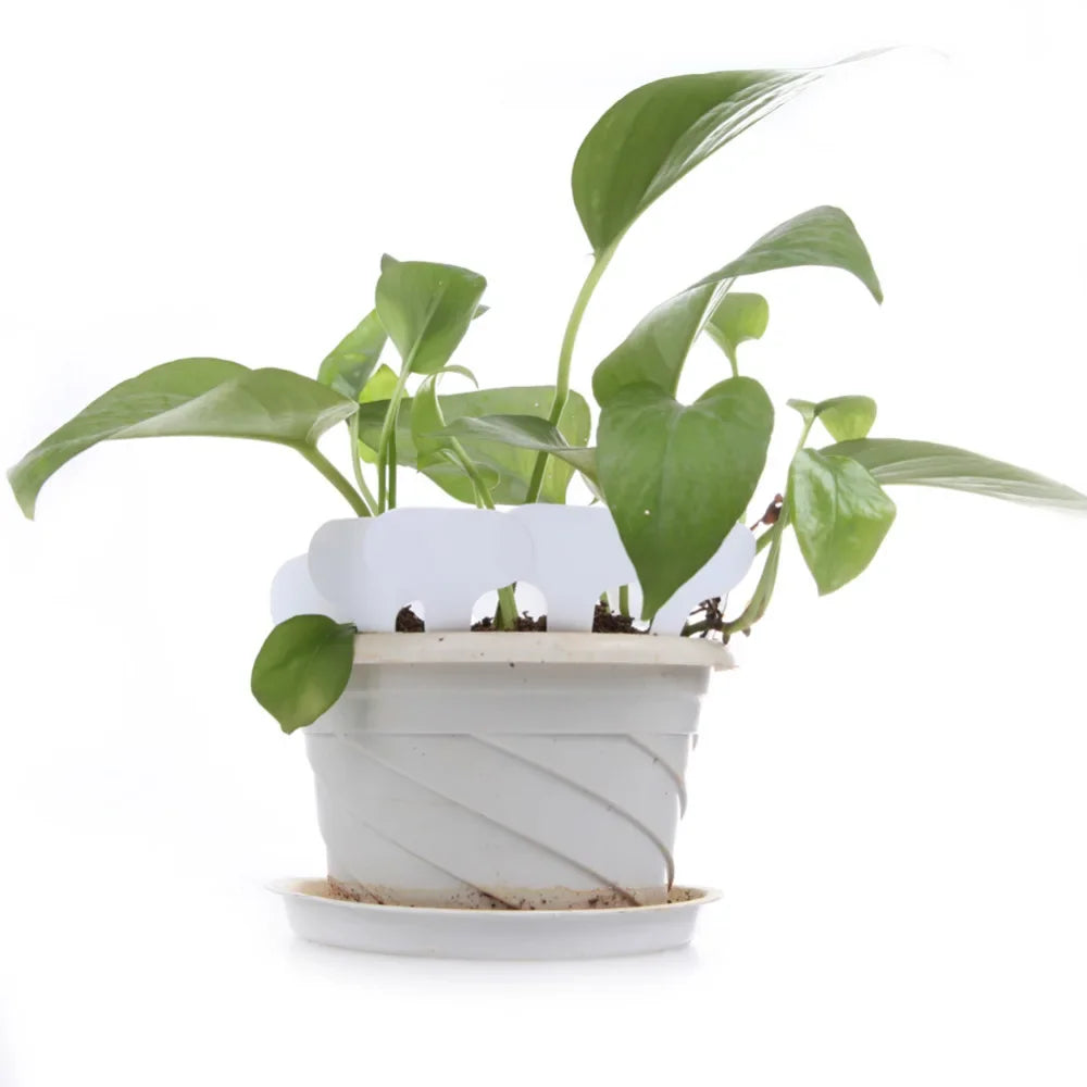 100Pcs Nursery Plant Tag T-type Plastic Plant Label Garden Nursery Pots Planters Flower Thick Plant Tag Label Marker PVC