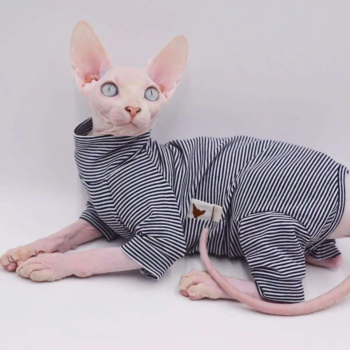 Sphynx Cat Clothes Leisure Stripe 4-legged Cotton Comfortable Hairless Cat Outfits Soft Winter Warm Devon Kornish Cat Clothes