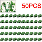 Invisible Plant Climbing Wall Fixture Clips 10-50Pcs PcsRattan Vine Bracket Fixed Buckle Leaf Clips Traction Holder Garden
