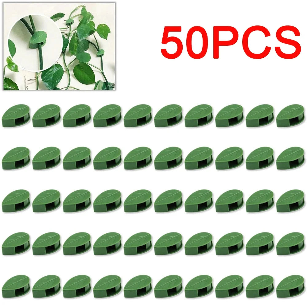 Invisible Plant Climbing Wall Fixture Clips 10-50Pcs PcsRattan Vine Bracket Fixed Buckle Leaf Clips Traction Holder Garden