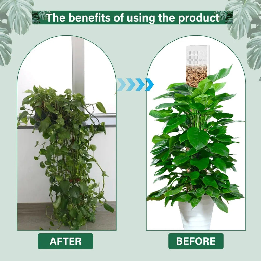 24/36/48Inch Climbing Plant Water Moss Column Indoor Plastic Moss Pole for Sphagnum Support Potted Plants Sticks Growth Garden