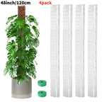 24/36/48Inch Climbing Plant Water Moss Column Indoor Plastic Moss Pole for Sphagnum Support Potted Plants Sticks Growth Garden